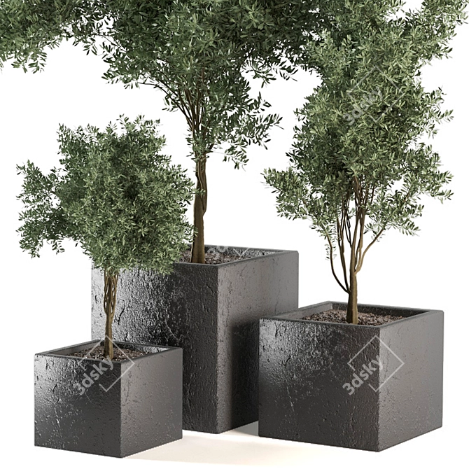 Green Oasis Outdoor Plant Set 3D model image 5