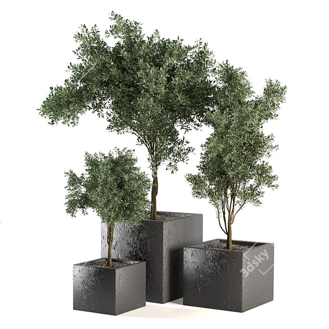 Green Oasis Outdoor Plant Set 3D model image 6