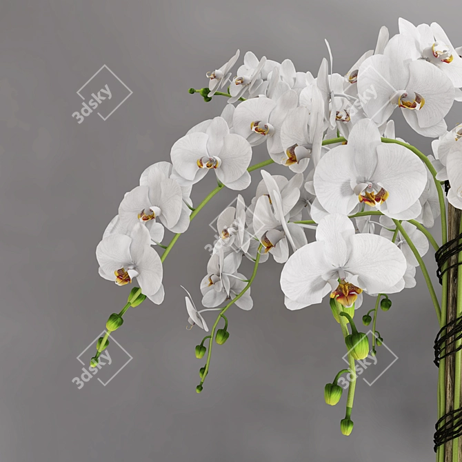Elegant Orchid Vase 3D model image 2