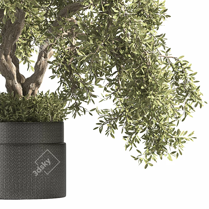 Breathe Life with Interior Bonsai 3D model image 4