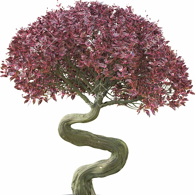 Bonsai 02: Millimeter Dimensions, High Poly, FBX & OBJ Formats 3D model image 2