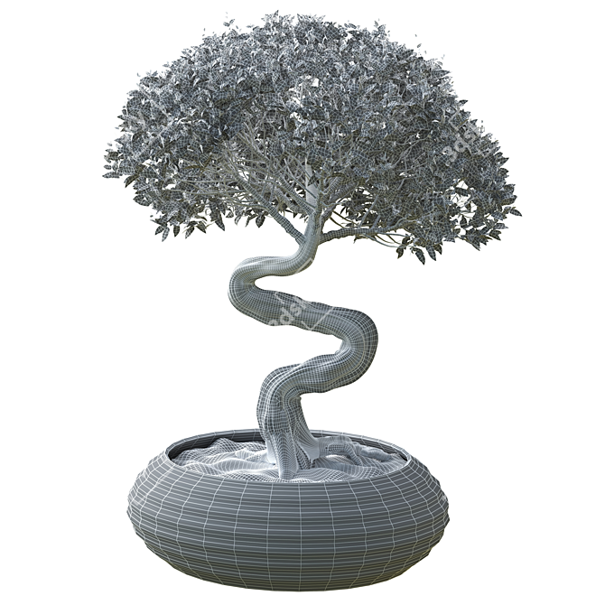 Bonsai 02: Millimeter Dimensions, High Poly, FBX & OBJ Formats 3D model image 4