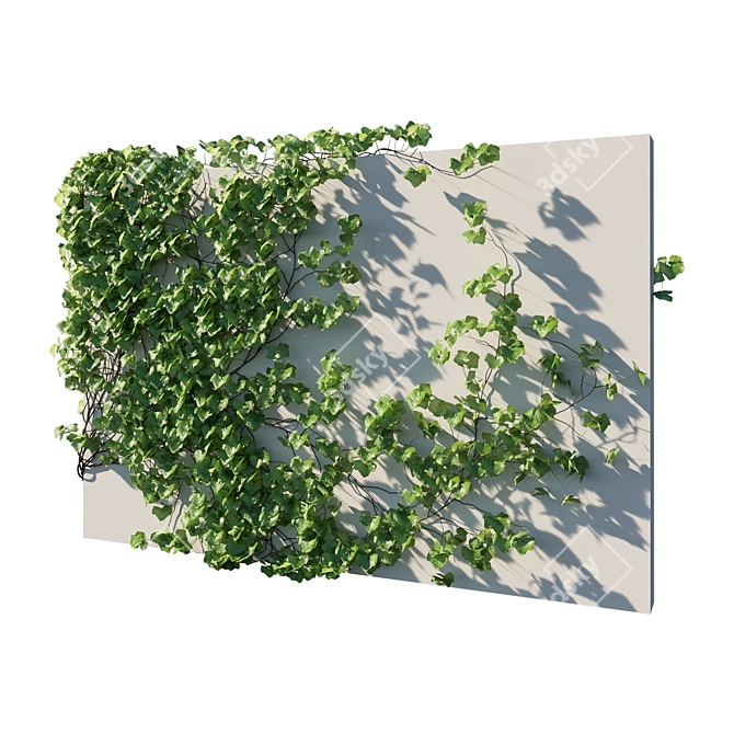 Vitis Coignetiae 02: Lifelike Grape Vine 3D Model 3D model image 2