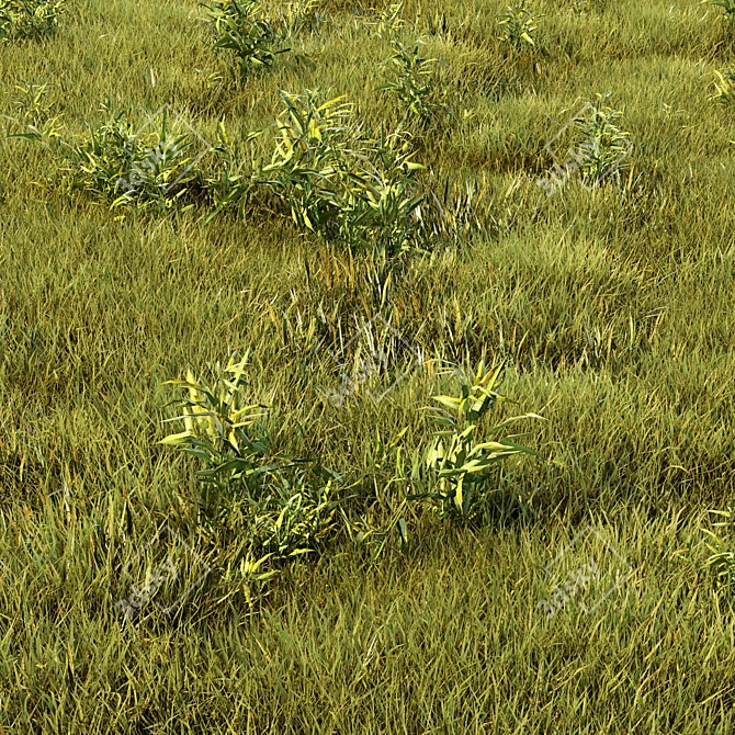 Versatile Grass Collection for Stunning Landscapes 3D model image 1