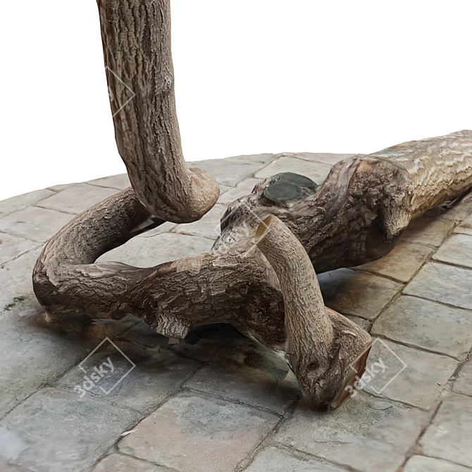 Natural Wood Tree Trunk 8 3D model image 5