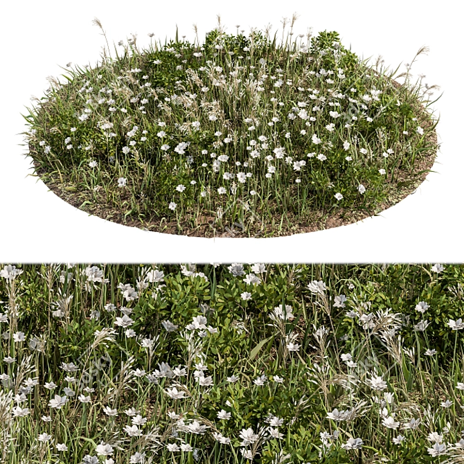 Lush Turf Blooms: Grass Set 05 3D model image 1