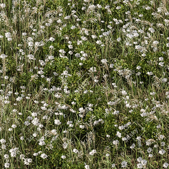 Lush Turf Blooms: Grass Set 05 3D model image 2