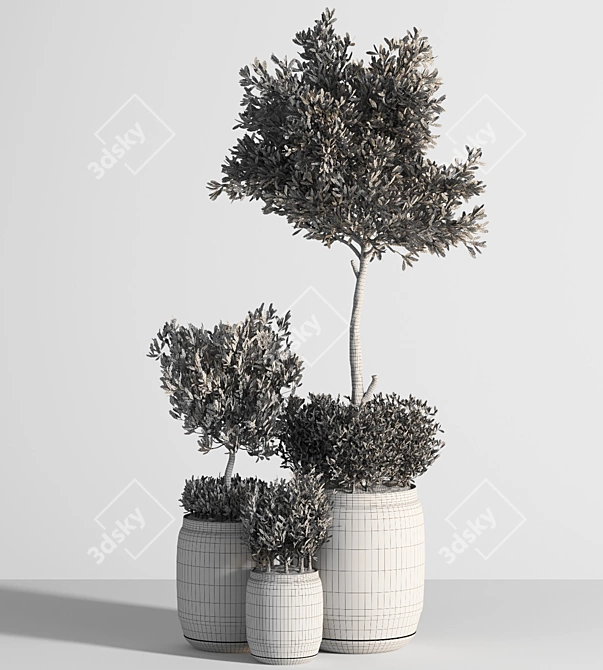 Tropical Indoor Plant Set 3D model image 5