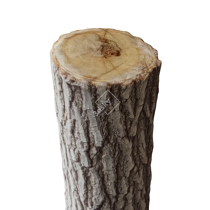 Nature-inspired Tree Trunk Sculpture 3D model image 2