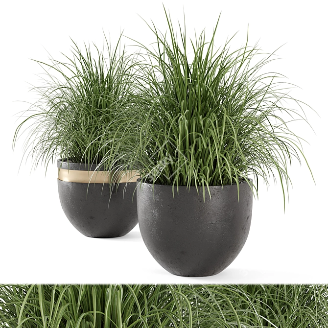 Rusty Concrete Pot Outdoor Plant Set 3D model image 1