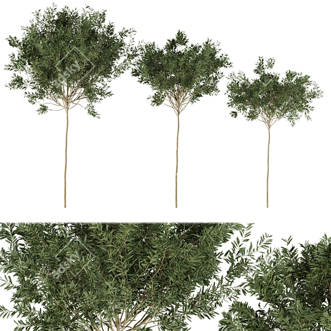 Premium Plant Collection - Volume 230 3D model image 1