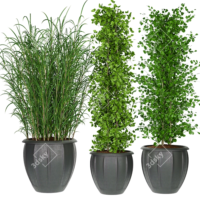 231 Plant Collection: Lightweight, High Quality 3D model image 2