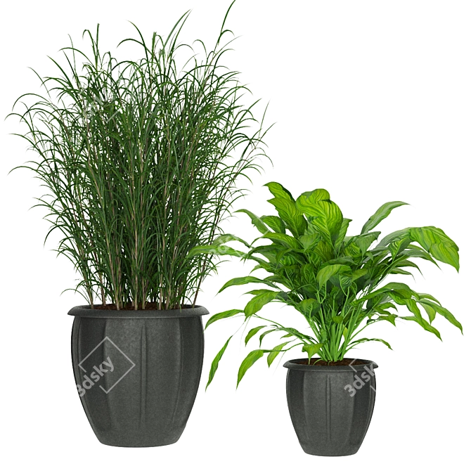 231 Plant Collection: Lightweight, High Quality 3D model image 3