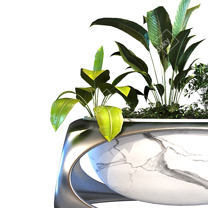 Green Oasis Box Plant Set 3D model image 3