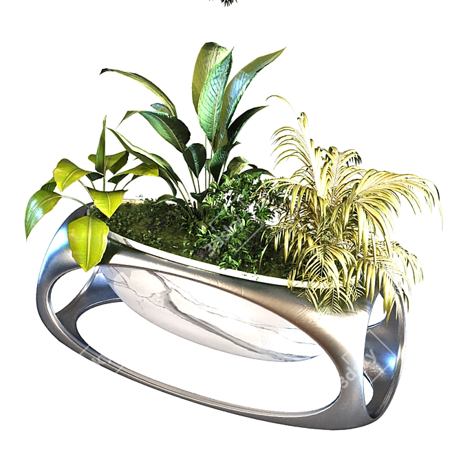 Green Oasis Box Plant Set 3D model image 5