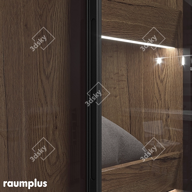 Versatile Hinged Cabinet with RPE Sistema Raumplus 3D model image 11