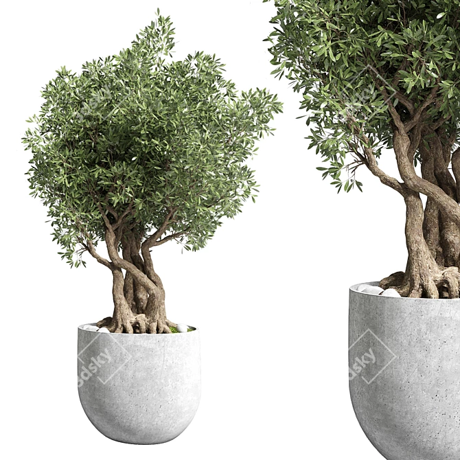 Modern Concrete Vase Outdoor Plant 3D model image 1