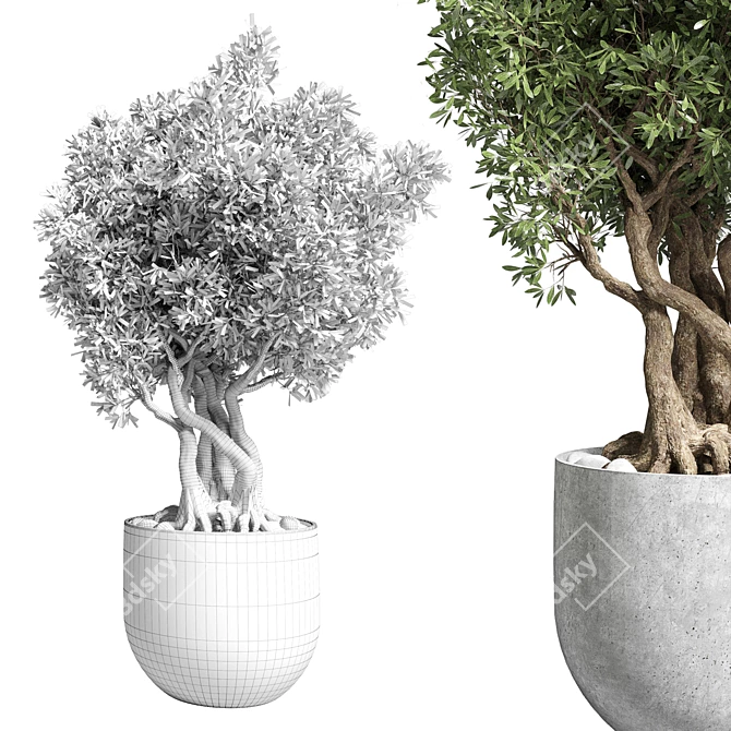 Modern Concrete Vase Outdoor Plant 3D model image 2