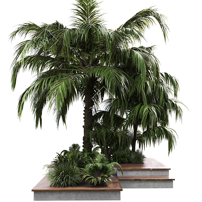 Outdoor Garden Pot Collection - Palm Tree, Bush, Fern, Grass in Concrete Vase 3D model image 2