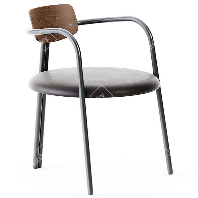 Elegant Veneto Chair: De Castelli 3D model image 1