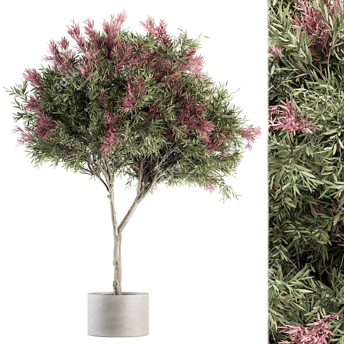 Crape Myrtle Outdoor Plant Set 3D model image 1