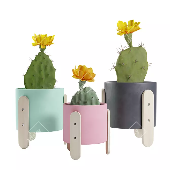 Desert Delights: Opuntia Cactus Pack 3D model image 1