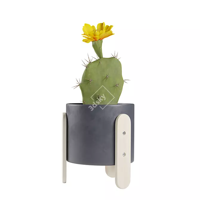 Desert Delights: Opuntia Cactus Pack 3D model image 4