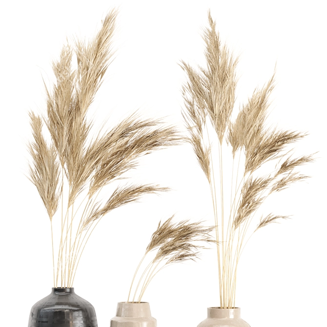 Natural Beauty: Dried Pampas Plant in Handmade Vase 3D model image 1