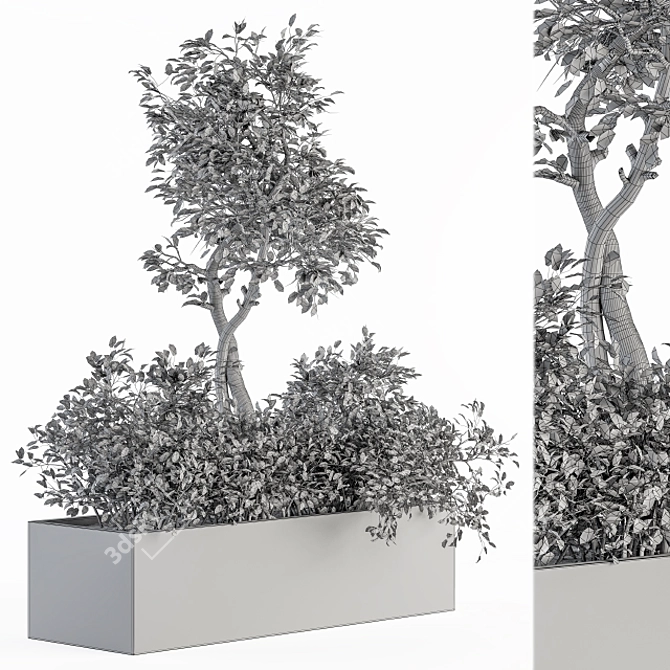 Green Oasis Box: Indoor Plant Set 3D model image 5