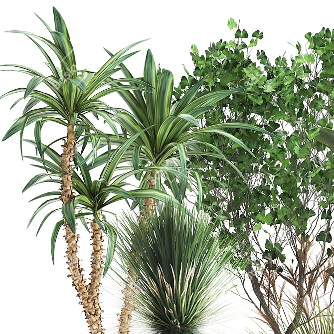 Tropical Plant Collection: Yucca, Palm, Ravenala & More 3D model image 2
