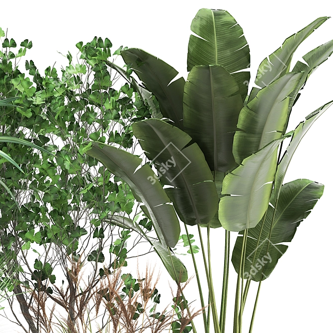 Tropical Plant Collection: Yucca, Palm, Ravenala & More 3D model image 3