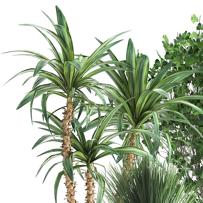 Tropical Plant Collection: Yucca, Palm, Ravenala & More 3D model image 5