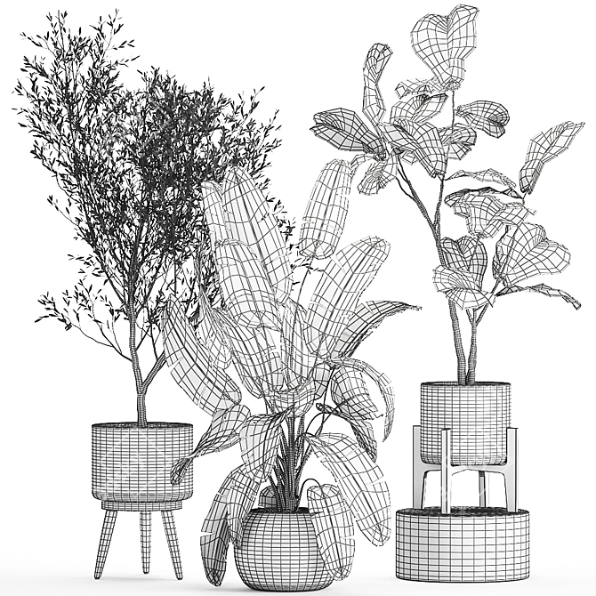 Exotic Plant Collection in Decorative White Baskets 3D model image 7