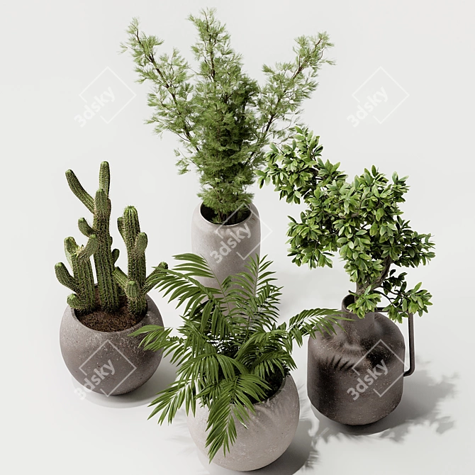 Modern Indoor Plant Decor 3D model image 3