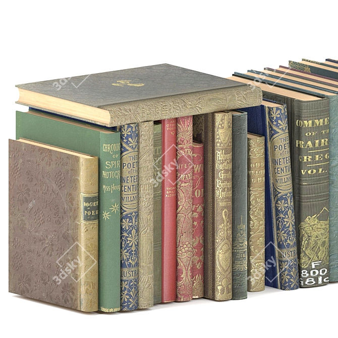 Antiquarian Book Collection - 37 Covers 3D model image 2