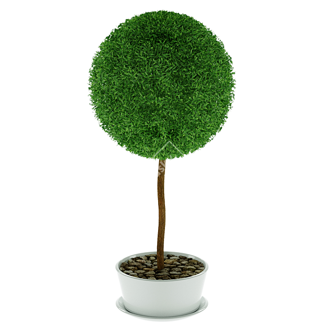 Elegant Top Trim Decorative Tree 3D model image 1