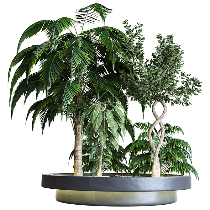 2015 Outdoor Plant Vol 04: High-Quality 3D Model 3D model image 2