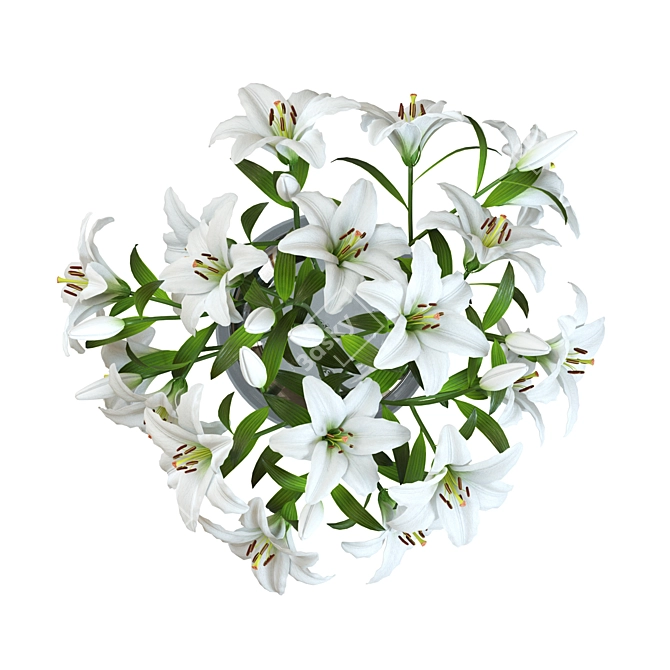 Elegant Lily Bouquet in Vase 3D model image 5