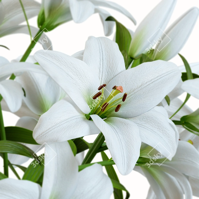Elegant Lily Bouquet in Vase 3D model image 7