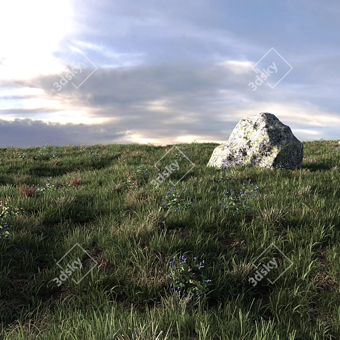 Field Herbs #2 | Grass Scatter Seeds 3D model image 2