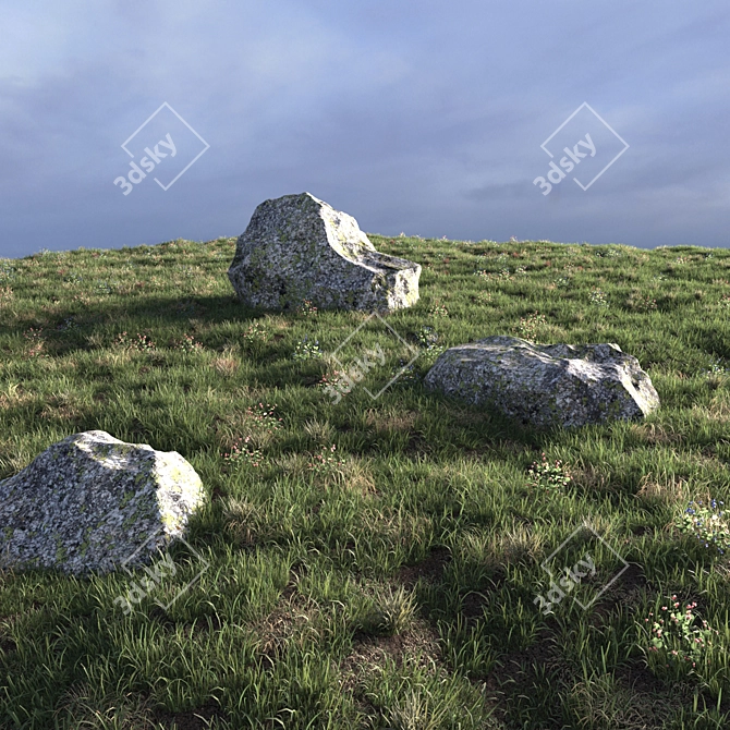 Field Herbs #2 | Grass Scatter Seeds 3D model image 4