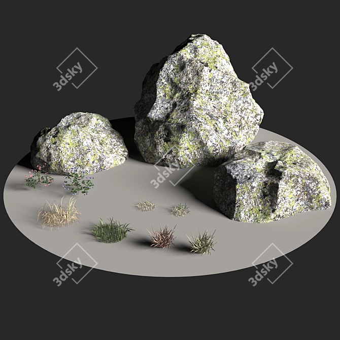 Field Herbs #2 | Grass Scatter Seeds 3D model image 5