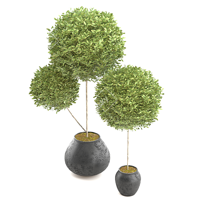 Elegant Topiary Ball in Pot 3D model image 3