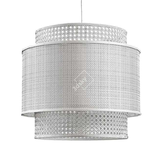 Natural Raffia and Rattan Lampshade 3D model image 2