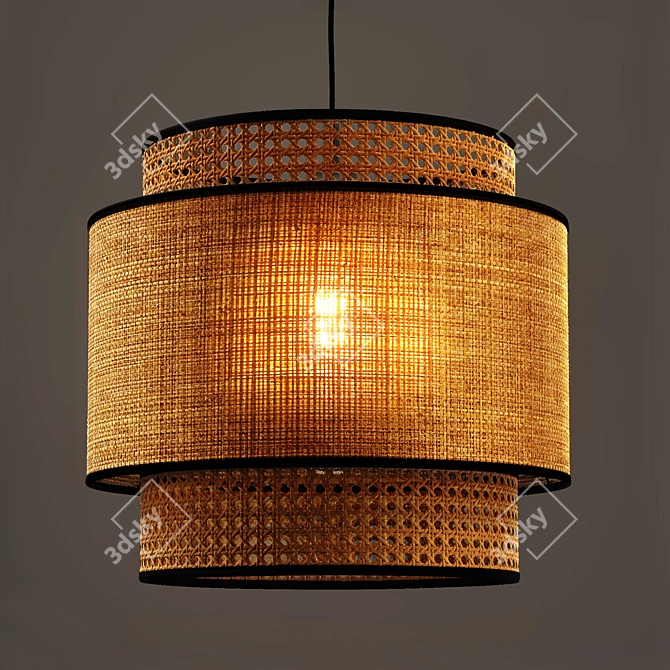 Natural Raffia and Rattan Lampshade 3D model image 4