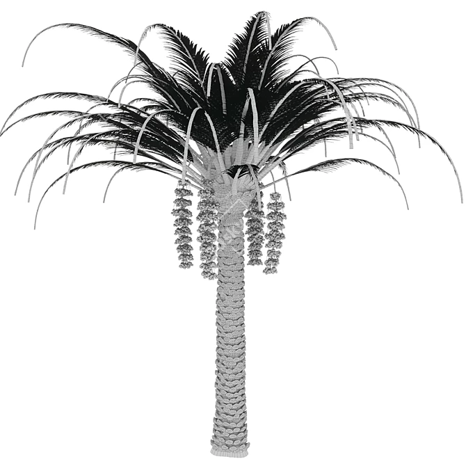 Exotic Date Palm Tree 3D model image 3