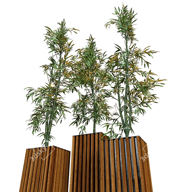 Natural Bamboo Set: 3 Unique Designs 3D model image 2