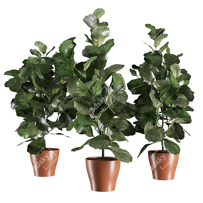 Lush Ficus Vase Plant 3D model image 1