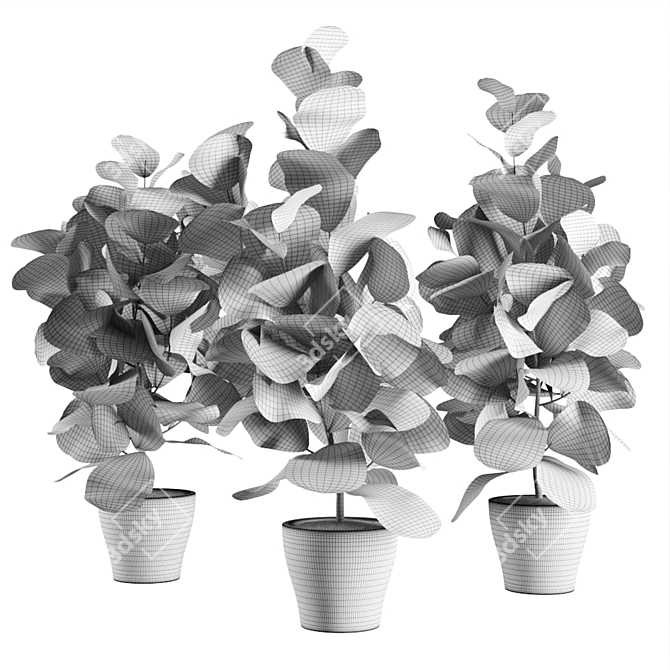 Lush Ficus Vase Plant 3D model image 2