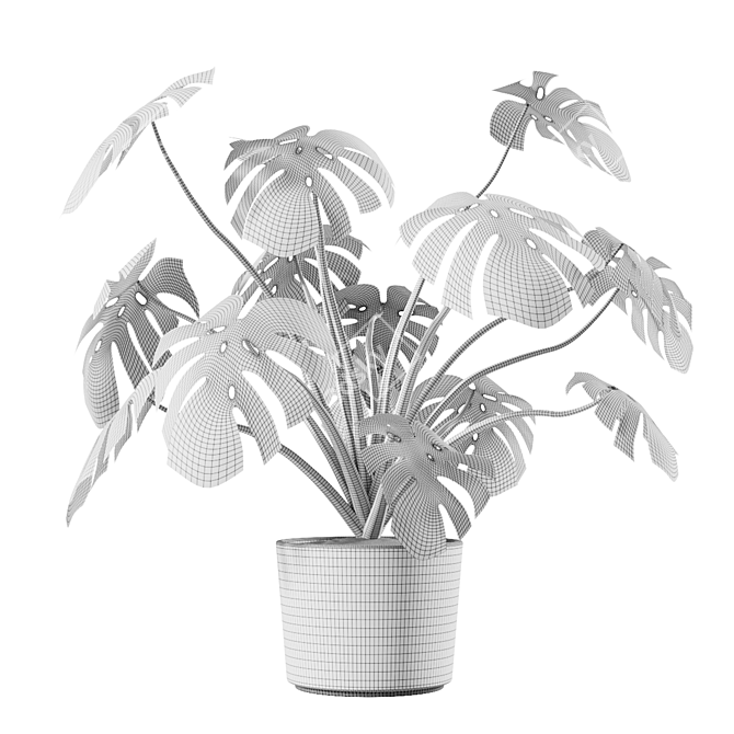 Tropical Monstera Vase Plant 3D model image 3